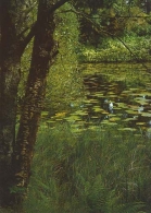 Woodland Water postcards